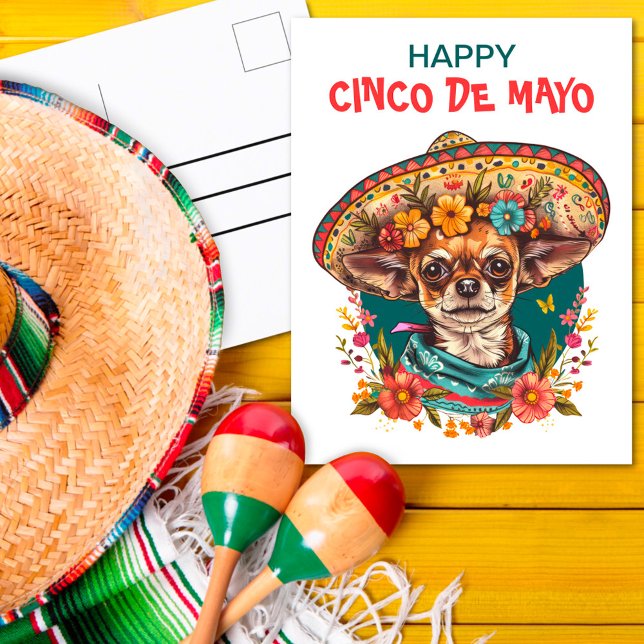 Cartão Postal De Festividades Cinco de Mayo Chihuahua Vestindo Sombrero & Serape (Criador carregado)