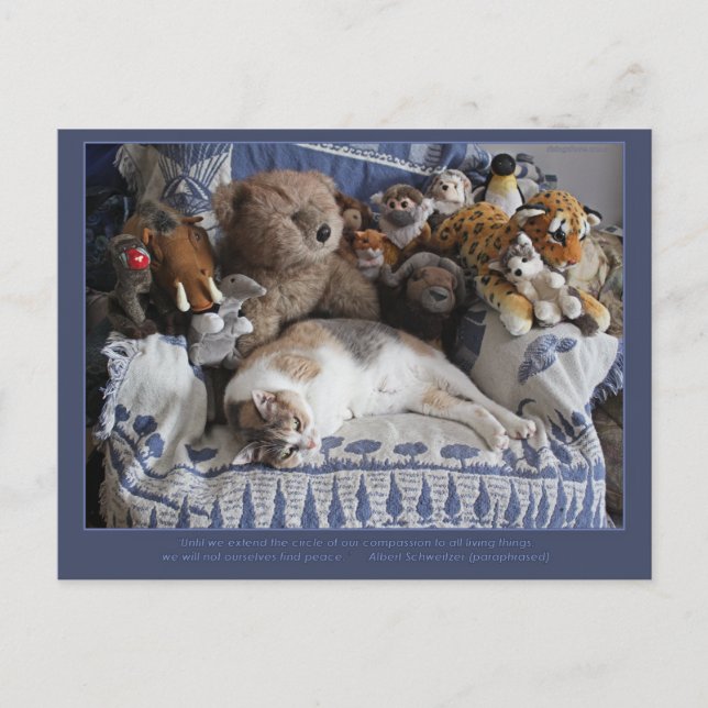 Cartão Postal De Festividades "Círculo de Compassividade" Miriam Kilmer risingdo (Frente)