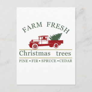Cartão Postal De Festividades Clássico Fazendão Caminhão Vermelho Antigo Pinheir