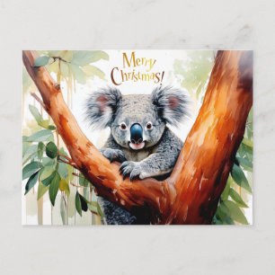 Cartão Postal De Festividades Coala sentado em uma árvore de goma Feliz Natal