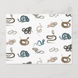 Cartão Postal De Festividades Cobras Coloridos Padrão Animal Réptil
