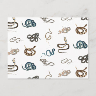 Cartão Postal De Festividades Cobras Coloridos Padrão Animal Réptil