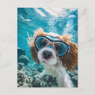 Cartão Postal De Festividades Cocker Spaniel King Charles dirigindo no oceano