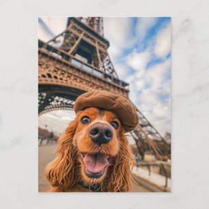 Cartão Postal De Festividades Cocker Spaniel King Charles em Paris
