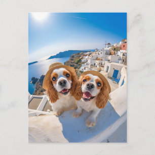 Cartão Postal De Festividades Cocker Spaniel King Charles em Santorini