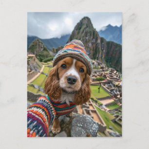 Cartão Postal De Festividades Cocker Spaniel King Charles Tira Selfies em t