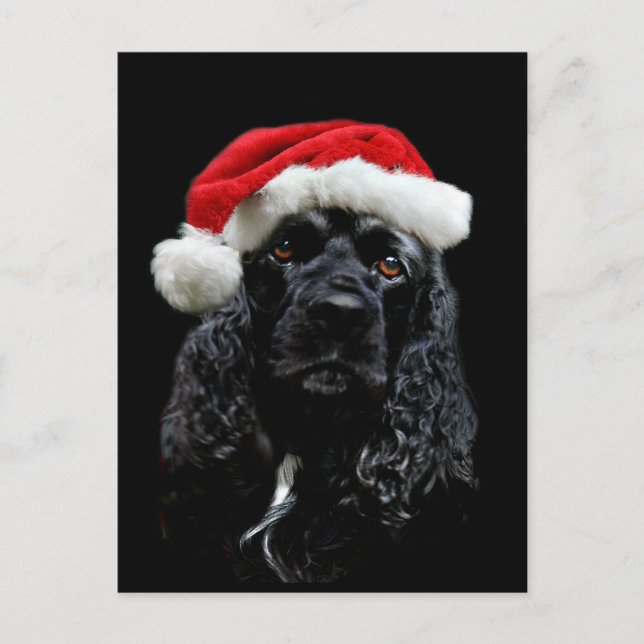 Cartão Postal De Festividades Cocker Spaniel Natal (Frente)