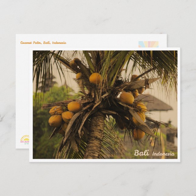 Cartão Postal De Festividades Coconut Palm, Bali Indonesia - Travel Postcard (Frente/Verso)