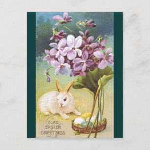 Cartão Postal De Festividades Coelhinho e Violetas da Páscoa