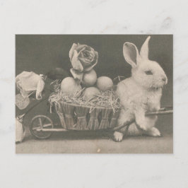 Cartão Postal De Festividades Coelho Adorável da Páscoa Vintage