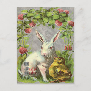 Cartão Postal De Festividades Coelho da Páscoa Frango Trevo de Três Folhas