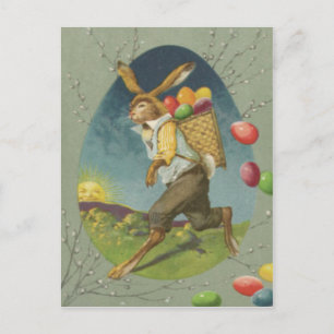 Cartão Postal De Festividades Coelho de Páscoa Ovo Colorido Sol