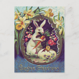 Cartão Postal De Festividades Coelho de Páscoa Ovo Frango Narciso
