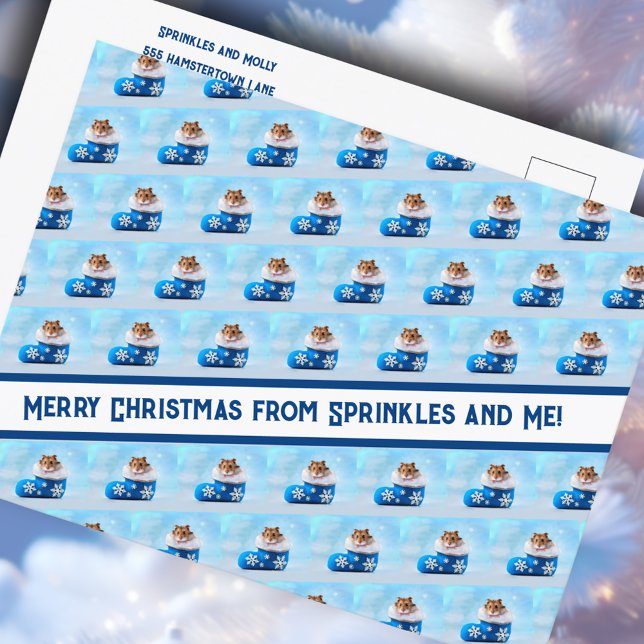 Cartão Postal De Festividades Colagem de Fotos de Estoque de Natal de Hamster (Criador carregado)