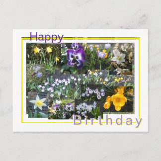 Cartão Postal De Festividades Colorful Spring Flowers Collage Birthday Postcard