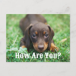 Cartão Postal De Festividades Como Está O Cartão-Postal?