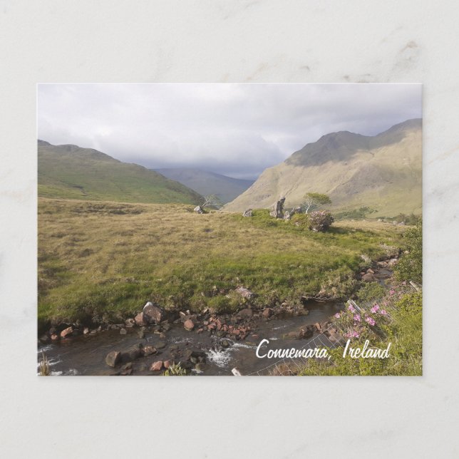 Cartão Postal De Festividades Connemara Irlanda (Frente)