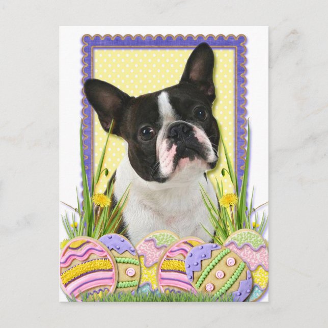 Cartão Postal De Festividades Cookies de Ovos de Páscoa - Boston Terrier (Frente)