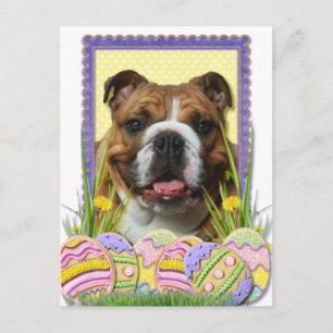 Cartão Postal De Festividades Cookies de Ovos de Páscoa - Bulldog