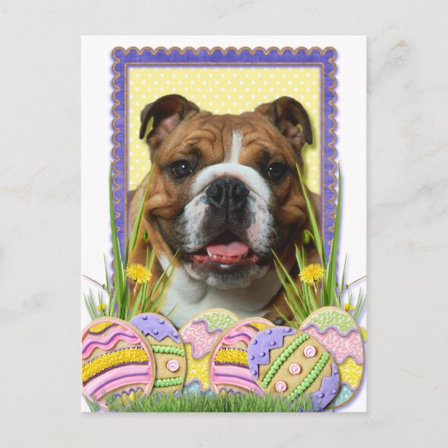 Cartão Postal De Festividades Cookies de Ovos de Páscoa - Bulldog (Frente)