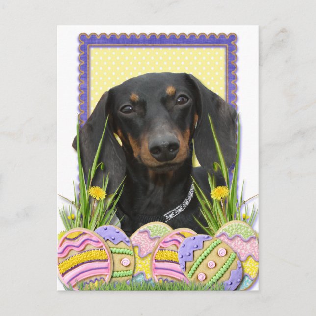 Cartão Postal De Festividades Cookies de Ovos de Páscoa - Dachshund (Frente)
