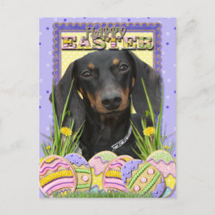 Cartão Postal De Festividades Cookies de Ovos de Páscoa - Dachshund