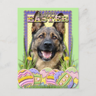 Cartão Postal De Festividades Cookies de Ovos de Páscoa - German shepherd