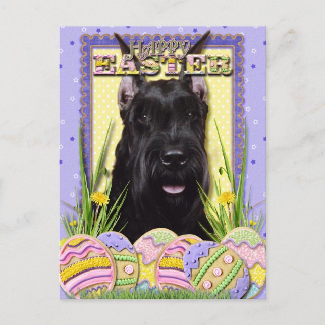 Cartão Postal De Festividades Cookies de Ovos de Páscoa - Schnauzer (Frente)