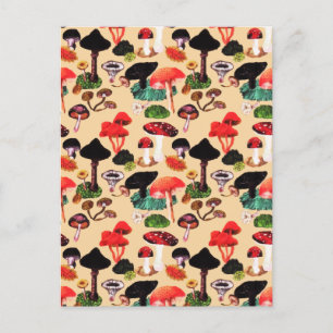 Cartão Postal De Festividades Cor da Água do Cogumelo da Madeira do outono