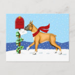 Cartão Postal De Festividades Correio de Natal do Boxer<br><div class="desc">Este "Fawn Boxer" enrola na neve para levar suas Cartões de natal para a caixa de correio vestindo seu lenço vermelho de malha. Trabalho de arte de Natal de Danes-R-Us trará um sorriso ao rosto de qualquer amante de cachorro nesta temporada.</div>