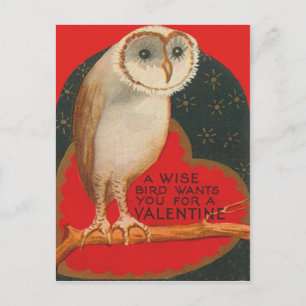 Cartão Postal De Festividades Coruja de Celeiro Árvore Coração Estrelas Dia dos