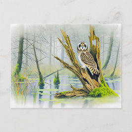 Cartão Postal De Festividades Coruja-de-orelha-curta no depósito de árvores