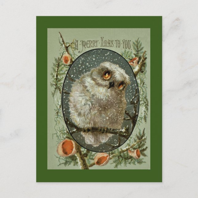 Cartão Postal De Festividades Coruja do Feliz Natal (Frente)