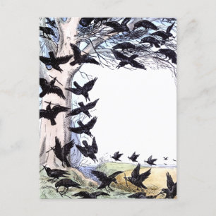 Cartão Postal De Festividades Corvos