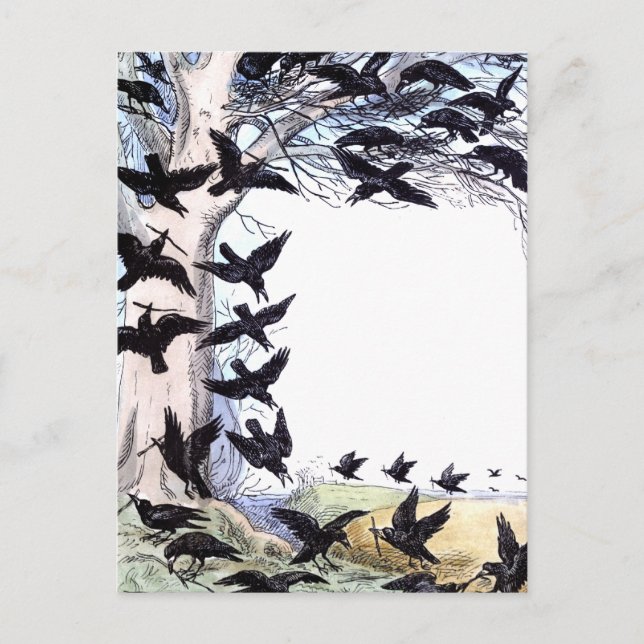 Cartão Postal De Festividades Corvos (Frente)