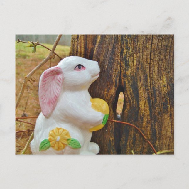 Cartão Postal De Festividades Country Páscoa Bunny (Frente)