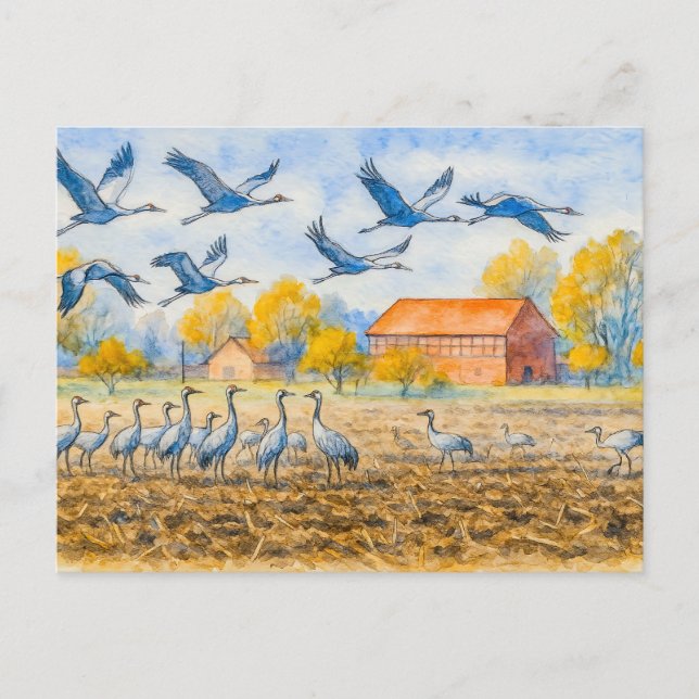 Cartão Postal De Festividades Crane no campo rhinow aquarell havelland (Frente)