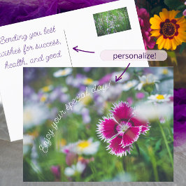 Cartão Postal De Festividades Cravo rosa com margaridas