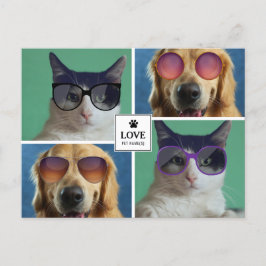 Cartão Postal De Festividades Crie A Sua Própria Colagem Fotográfica De 4 Pet