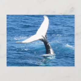 Cartão Postal De Festividades Crie seu próprio cartão de Posto de feriado fotogr