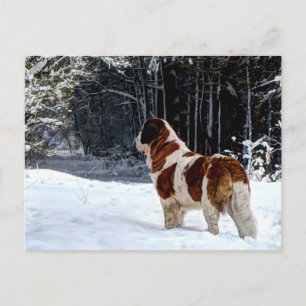 Cartão Postal De Festividades cumprimentos de Natal fotográficos na neve com São