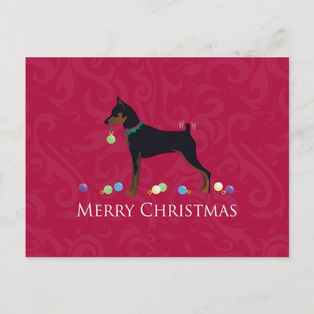 Cartão Postal De Festividades Cumprimentos do Pinscher Miniatura (Frente)