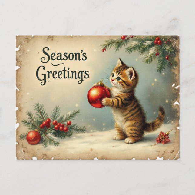Cartão Postal De Festividades Custom Text Season’s Greetings Kitten Postcard (Frente)