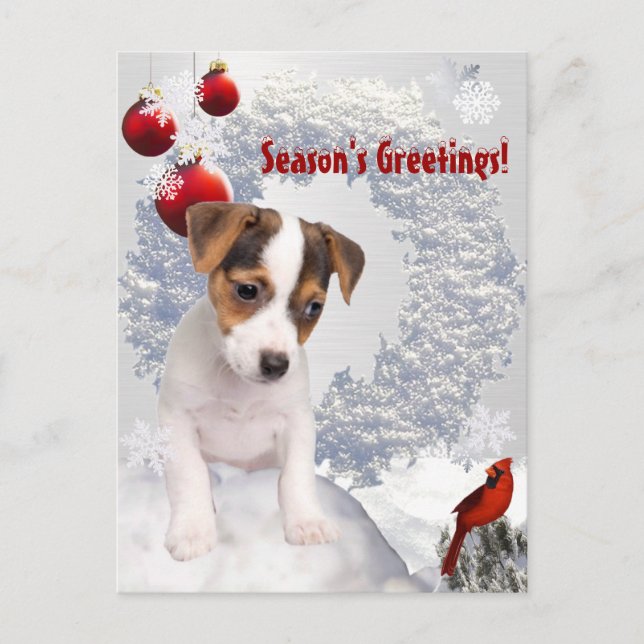 Cartão Postal De Festividades Customize It!  Jack Russell Terrier Christmas Wish (Frente)
