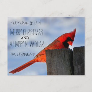 Cartão Postal De Festividades Customize Your Own Picture. Holiday/Christmas Card