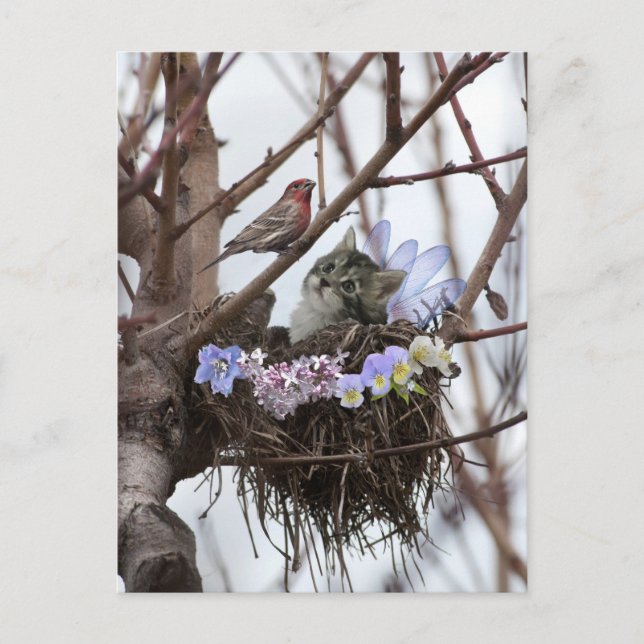 Cartão Postal De Festividades Cute kitten and bird nest Easter postcard (Frente)