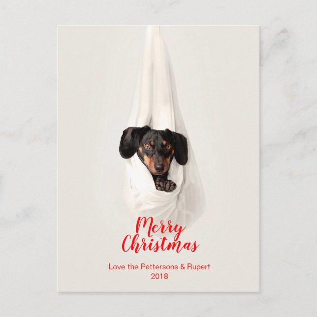Cartão Postal De Festividades Cute Pet Family Puppy Dog Christmas Photo (Frente)