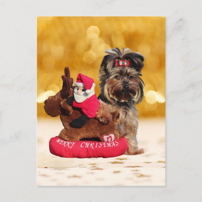 Cartão Postal De Festividades Cute Yorkshire Terrier Felry Natal (Frente)