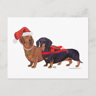 Cartão Postal De Festividades Dachshances Natal