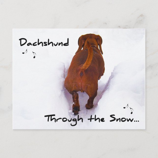 Cartão Postal De Festividades Dachshund Através Da Neve Piscando Pela Neve (Frente)